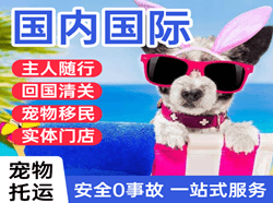 沈阳桃仙机场快运国际宠物托运 【国